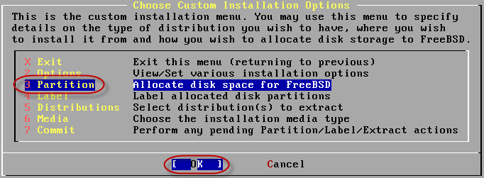 Choose custom installation options Choose custom installation options